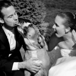 perro en boda